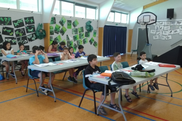 Education Programme Activity